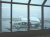 JAL502(B747)